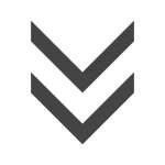 Angle Double Down SVG Icon